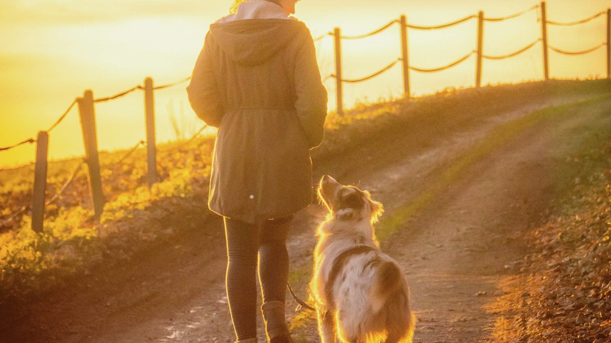Promeneur de chien au coucher du soleil en Suisse