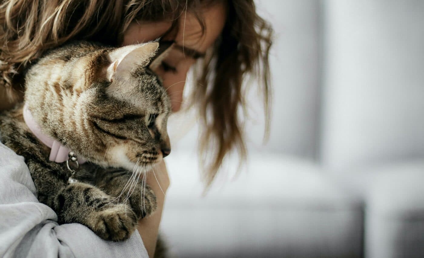 Propriétaire câlinant son chat avec tendresse